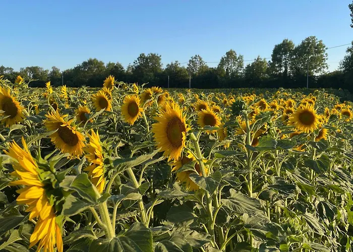 Apartamento De La Ferme L'archerie *