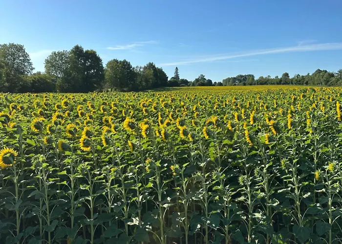 De La Ferme L'archerie